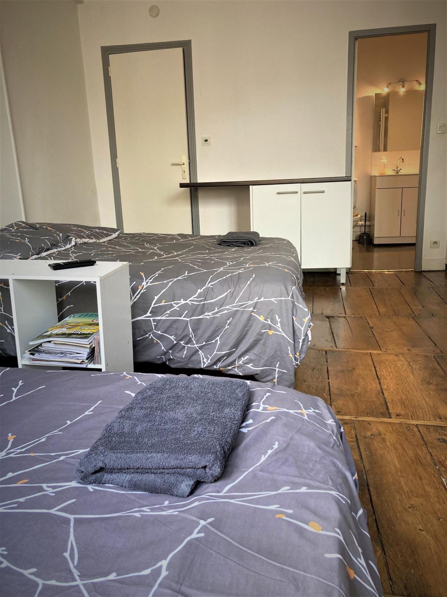 Studio Double 21 Centre De Limoges Wifi Luaran gambar